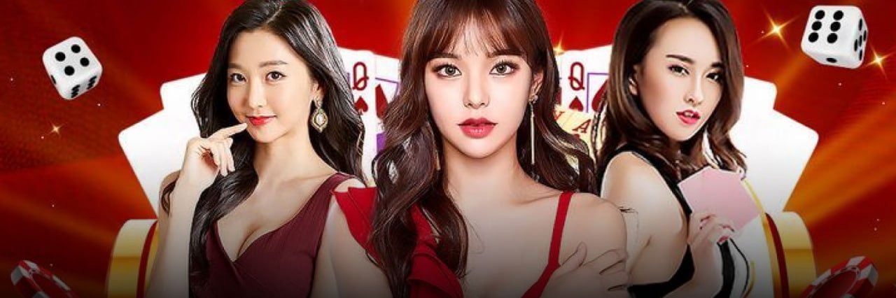 Final new pk casino privacy summary for adult users in Bangladesh
